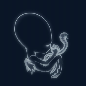 ÁgætisByrjunCover.jpg